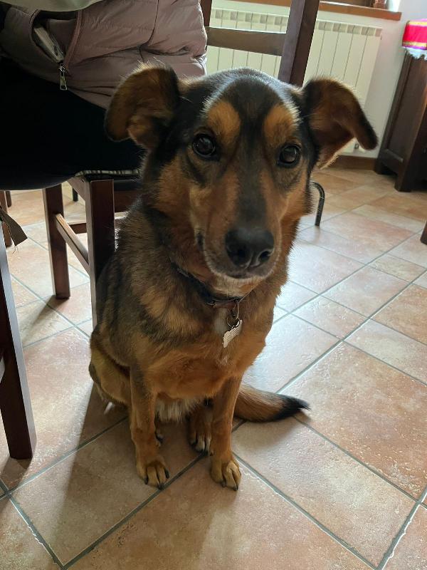 Zeus Foto 6